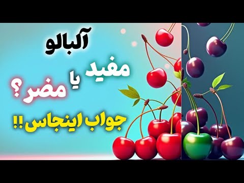 آیا از خواص و مضرات میوه آلبالو اطلاع دارید میوه آلبالو