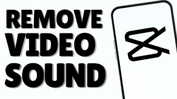 How To Remove Sound From A Video In CapCut | Full Guide