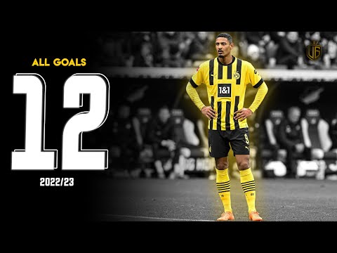 Sébastien Haller All 12 Goals For Dortmund | With Commentary - HD