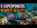 9 Animal Superpowers That Rewrite Reality