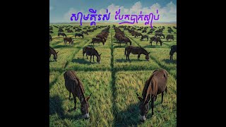 រឿងអប់រំ៖ សាមគ្គីរស់ បែកបាក់ស្លាប់ / Solidarity