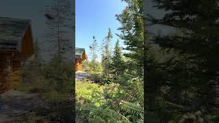 4k Cabin in May: Sunny &amp; Birds cheering E9 27s #Beautiful #Peaceful #Relax #Spring #Outdoor #Canada