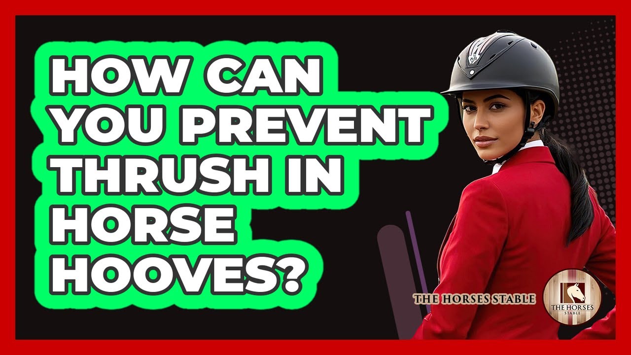 How Can You Prevent Thrush In Horse Hooves? - The Horses Stable