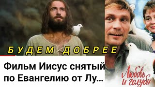 ДОБРЫЙ РОЛИК / ЛЮБОВЬ И ГОЛУБИ / Для тех, кто любит голубей ! #тимартдан #добро #голуби