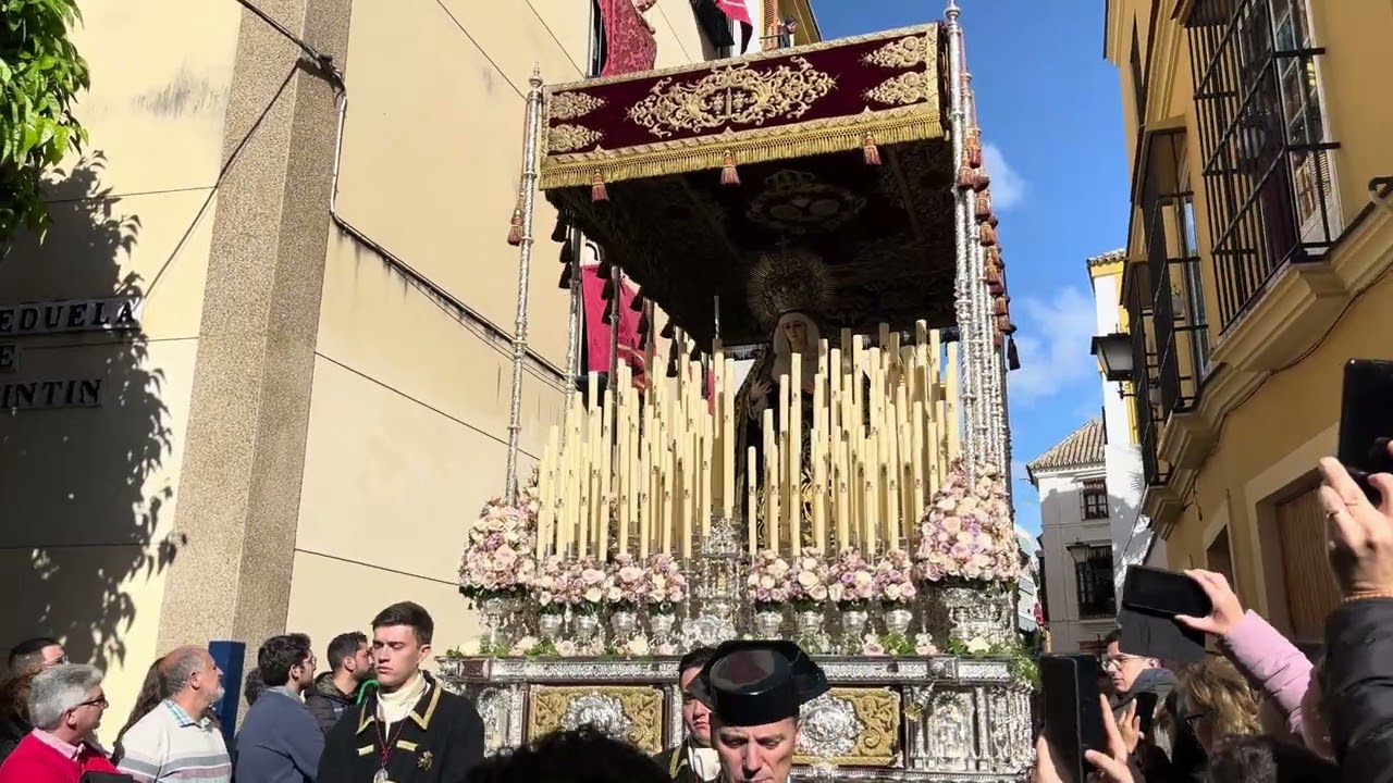 “Cristo del Buen Fin” | Hdad. Servitas (Sevilla) | Sábado Santo 2024