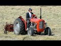 Massey Ferguson 35X Working Hard in The Field w/ Old JF HSR 200R Haybuster | DK Agriculture