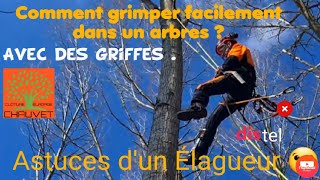 💪COMMENT GRIMPER🌲 FACILEMENT DANS UN ARBRE À L'AIDE DE GRIFFES.CONSEILS ET ASTUCES D'UN ÉLAGUEUR.