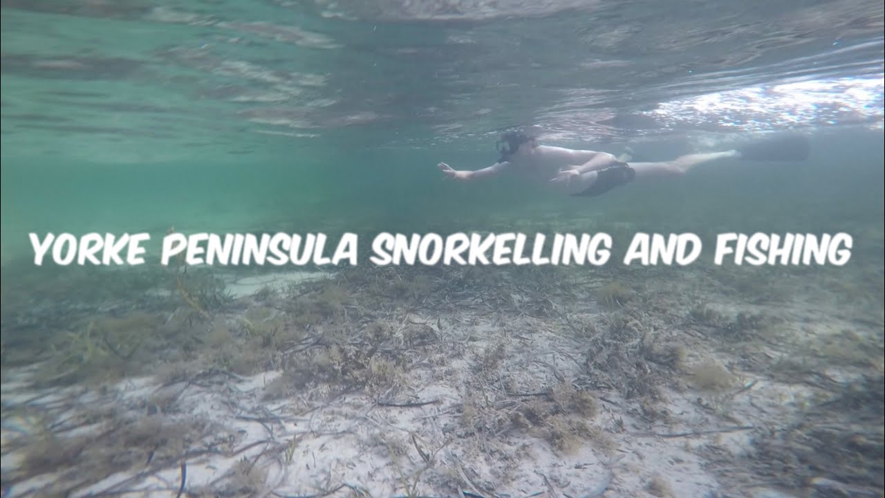 YORKE PENINSULA FISHING AND SNORKELLING (MIKE’S OUTDOOR ADVENTURES