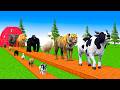 Paint & Animals Cow,Gorilla,Elephant,Giraffe,Tiger,Lion, Fountain Crossing Transformation Cartoon