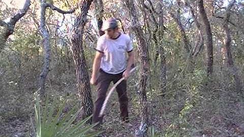 Shooting a Selfbow part 2  -  Gills Primitive Archery