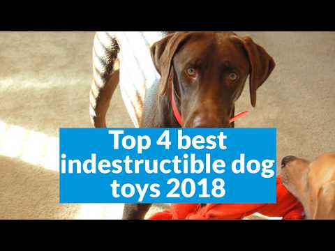 Top 4 best indestructible dog toys 2018 (Buying Guide)