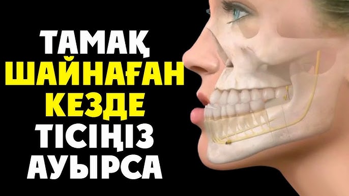 Сексуалды құлдармен порно