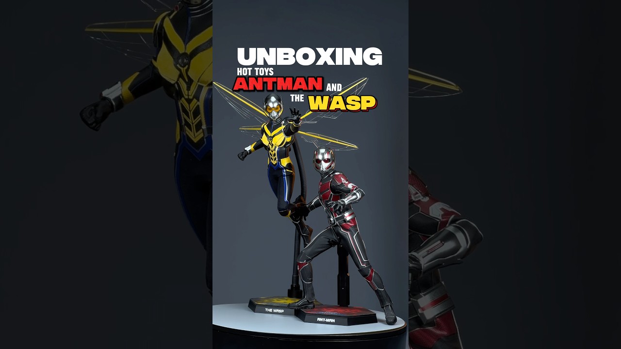 Why Ant-Man & Wasp Might Be the Most Underrated Hot Toys in My Collection 