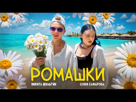 DAISIES NIKITA SHULGIN SONYA SAFAROVA CLIP PREMIERE