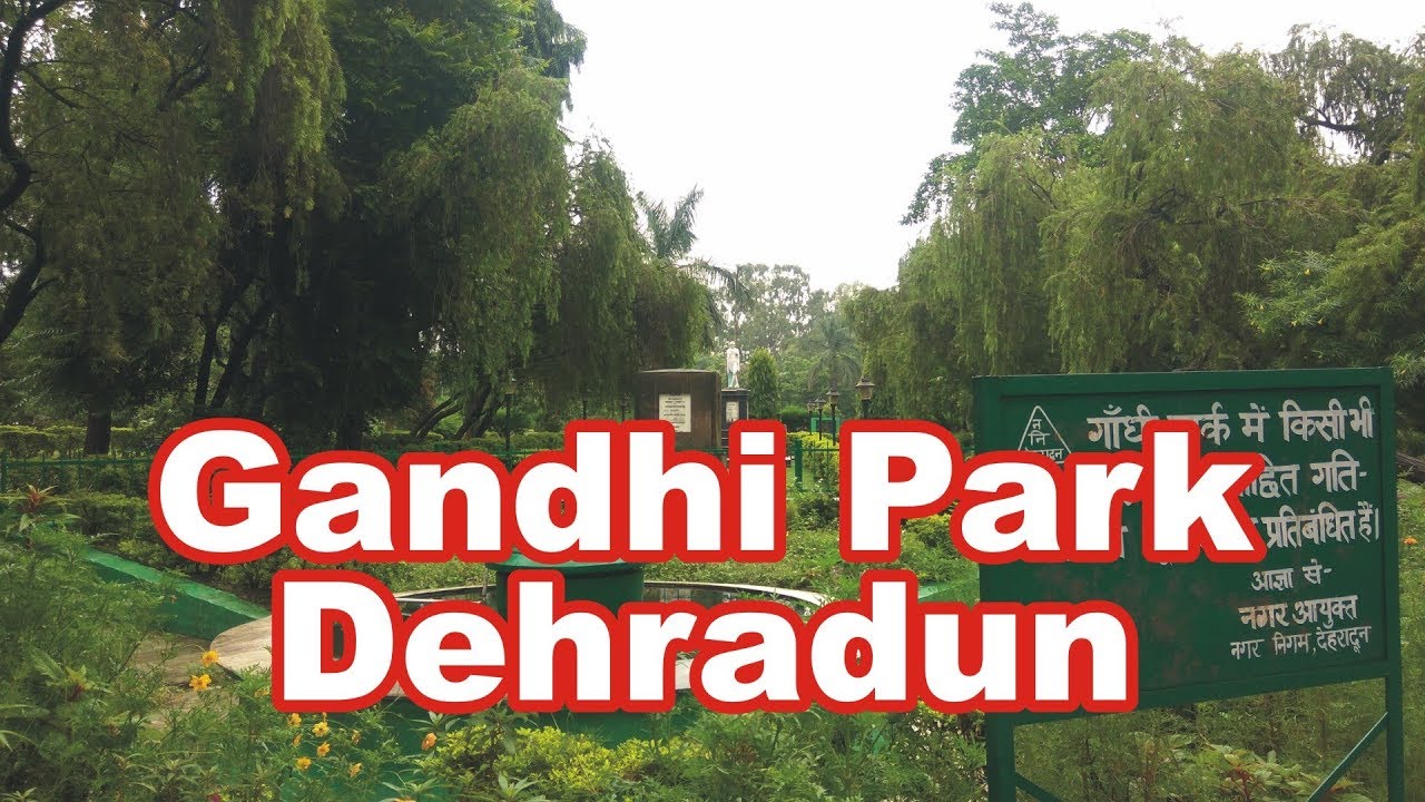 Gandhi Park Dehradun Beautiful Trees Flowers and Fauna YouTube