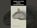 Cryolophosaurus, un dinosaurio de la Antártida