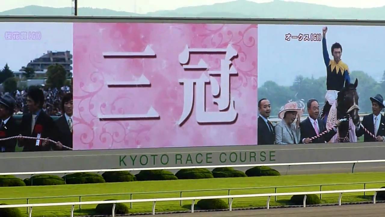HD】祝・アパパネ号 牝馬三冠達成！（2010秋華賞） - YouTube