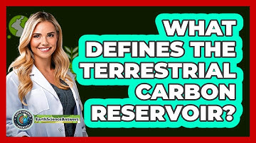 What Defines The Terrestrial Carbon Reservoir?