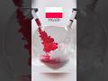 🇵🇱 Poland Flag Ink Mixing Art 🌊 | Satisfying Liquid Drop Experiment #shorts #experiment #asmr