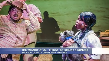 Midday Interview: Wizard of Oz