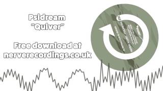 Psidream - Quiver (NERVE003)