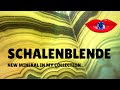 Schalenblende