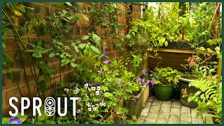 Monty Don's Tiny Backyard Transformation | Big Dreams, Small Spaces S2E3