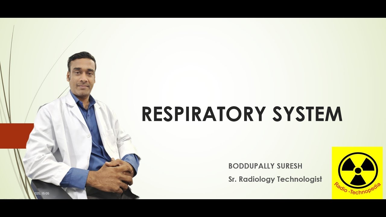 Respiratory System Explained || Radio-Technopedia|| YouTube
