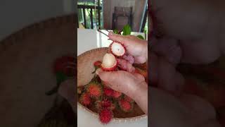 cara buka rambutan #shorts