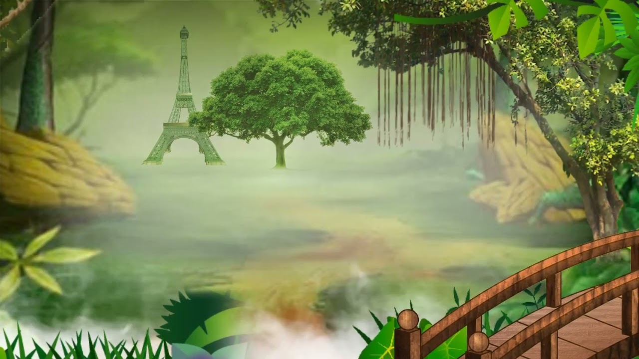 Jungle background video / AK videos