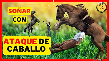 ¿Qué significa que un caballo te mordisquee suavemente?