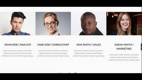 Meet The Team– Siteorigin widget layout addons