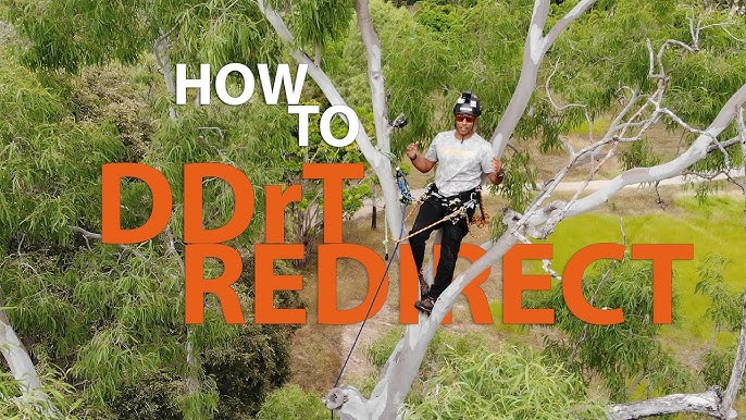 How to Foot Lock climb a tree 