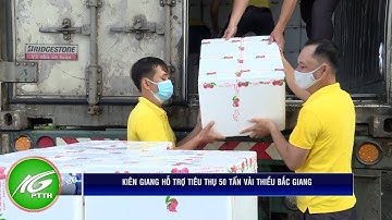 Kiên Giang hỗ trợ tiêu thụ 50 tấn vải thiều Bắc Giang | THKG