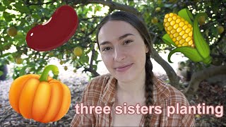how to plant a three sisters garden // thoughts on permaculture ethics & indigenous knowledge