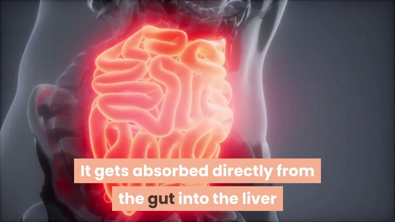 Can mct help you lose weight?