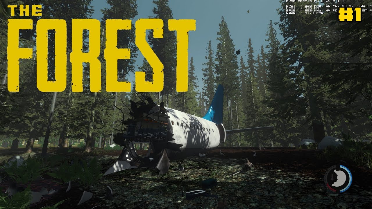THE FOREST | DER FLUGZEUG ABSTURZ | (Deutsch)