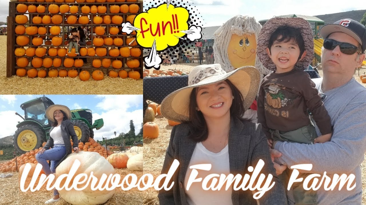FALL HARVEST FESTIVAL AT UNDERWOOD FAMILY FARM / FILAM FAMILY VLOG 👪 YouTube