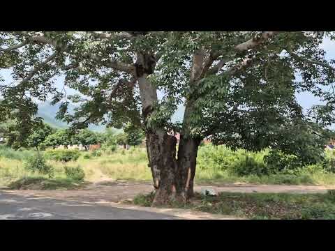 Safari Morogoro Journey 1 Day In Mikumi National Park Tanzaniawildlife Tanzania Tanzaniansafari 