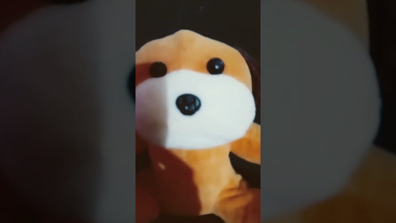 A donde me lleva chavito ?! 🤔😨   DanielBloop