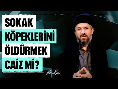 Sokak Köpeklerini Öldürmek Caiz mi? l İhsan Şenocak