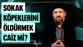 Sokak Köpeklerini Öldürmek Caiz mi? l İhsan Şenocak