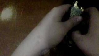 Harley Davidson knife