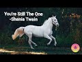 You Re Still The One Shania Twain 1990s