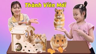 Em Nhi Giới Thiệu Thành Viên Mới Chuột Hamster