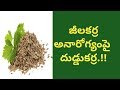 Health Benefits of Cumin Seeds | Health Tips In Telugu | Manandari Health