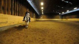 Otto ja Elina 20100201 1.AVI