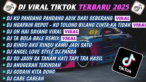 DJ TIKTOK TERBARU 2025-🎵DJ KU PANDANG PANDANG ADIK DARI SEBERANG🎵DJ NGAPAIN REPOT FULL ALBUM