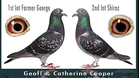 GEOFF COOPER
