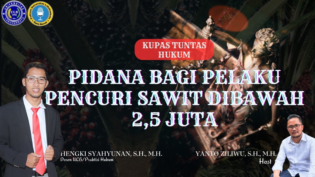 PIDANA BAGI PELAKU PENCURI SAWIT DI BAWAH 2,5 JUTA